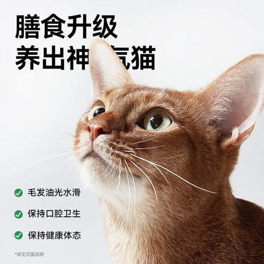 帕特 生命系列猫粮 低敏兔肉鹿肉牛肉全期全价猫粮营养发腮无谷猫粮 商品图5