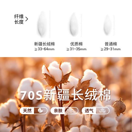 【名盾】撞色POLO衫，黄金比例尺寸，包容性强，商务休闲皆有型M0BL22652B 商品图3