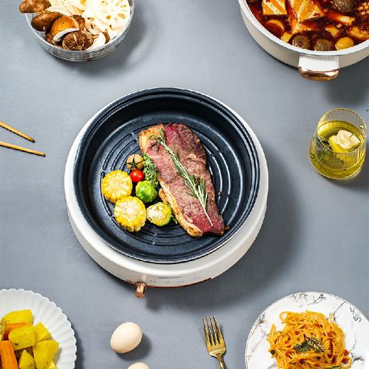 大宇分体电火锅DYHG-505 商品图2