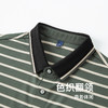 【凉感透气】【新款DDY】大依优型大码条纹短袖Polo衫翻领加肥加大男装大号大码衬衣上衣男士绅士商务休闲半袖夏季 商品缩略图2
