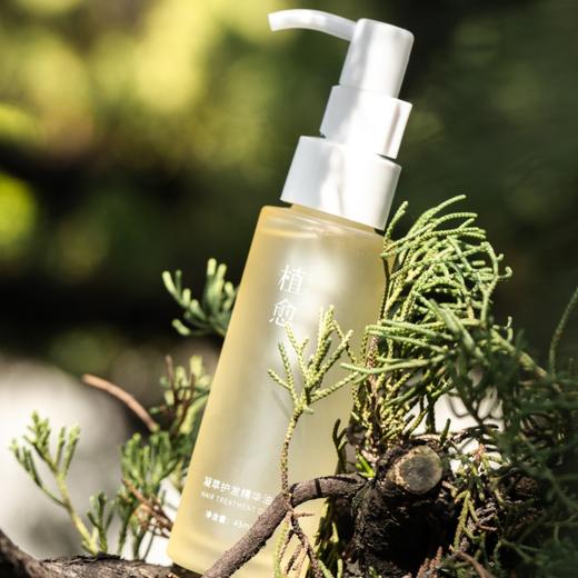 菜菜家植愈凝萃护发精油|成分升级还降价，轻盈且润，一抹柔顺亮泽 商品图0