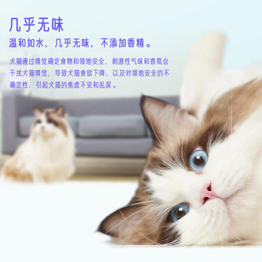 萌宠护卫次氯酸消毒片宠物消毒液猫咪专用杀菌喷雾猫藓环境除臭剂杀菌水 【100瓶500ml次氯酸液】100片/盒 商品图3