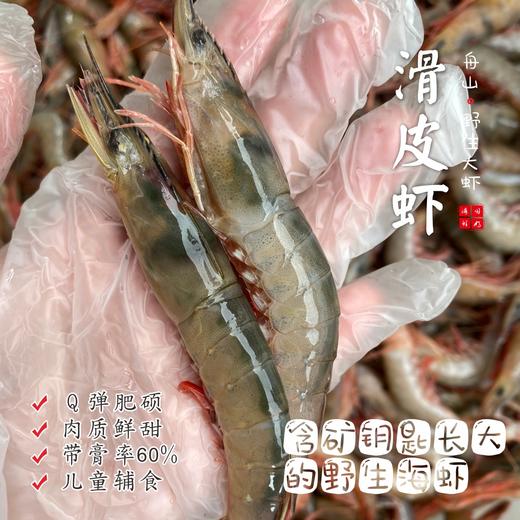 【闹妈海鲜】[冻发]舟山野生青壳滑皮虾 400克/盒 大号25-30头左右/盒 商品图0