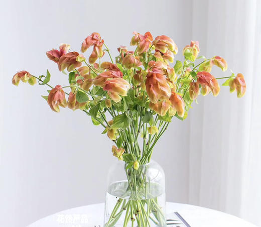 【爱的苦恼】虾衣花 若干枝/扎 商品图0