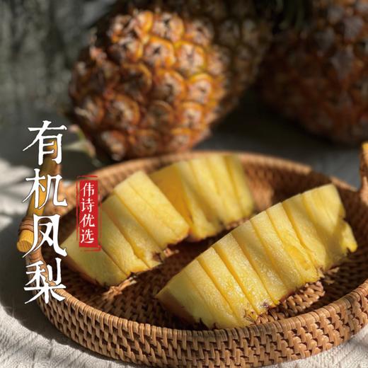 伟诗优选 | 有机凤梨 商品图3