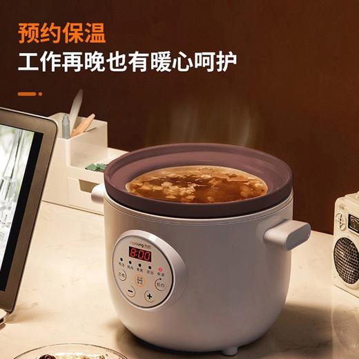 九阳 电炖锅DGD1505AM 商品图0