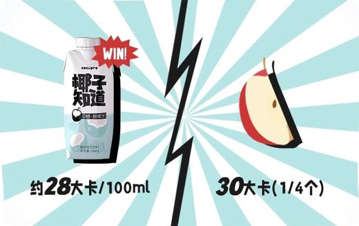 椰子知道0糖鲜椰汁植物蛋白饮料330ml 商品图2