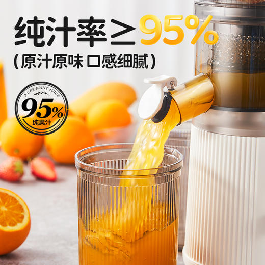 浦利顿原汁机榨汁机PLD-PUE-2109C白色 商品图3