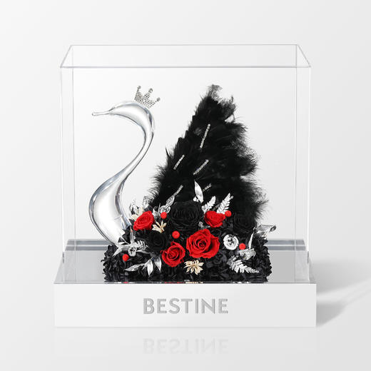 VBEINGS花语 天鹅湖之恋 mini/大号 永生花玫瑰花摆件礼盒送女友生日礼物情人节礼物 商品图9