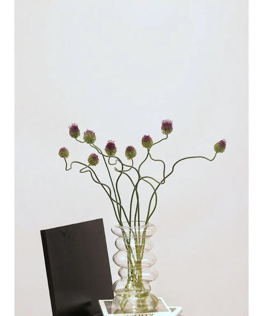 【肆意生长】弯葱  5枝/扎 （国产版） 商品图1