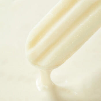 伊利牧场 小布丁奶油味雪糕48克/支*20支 雪糕冷饮 商品图0