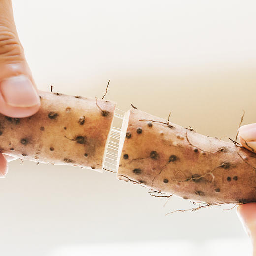 食非多品温县垆土铁棍山药 商品图1