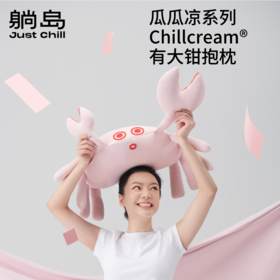 夏季凉感有大钳抱枕可拆洗趴睡枕
