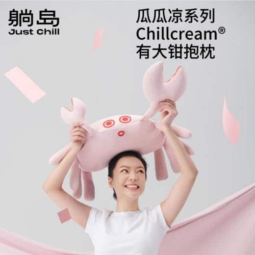 夏季凉感有大钳抱枕可拆洗趴睡枕 商品图0