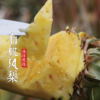 伟诗优选 | 有机凤梨 商品缩略图4