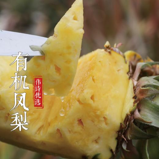 伟诗优选 | 有机凤梨 商品图4