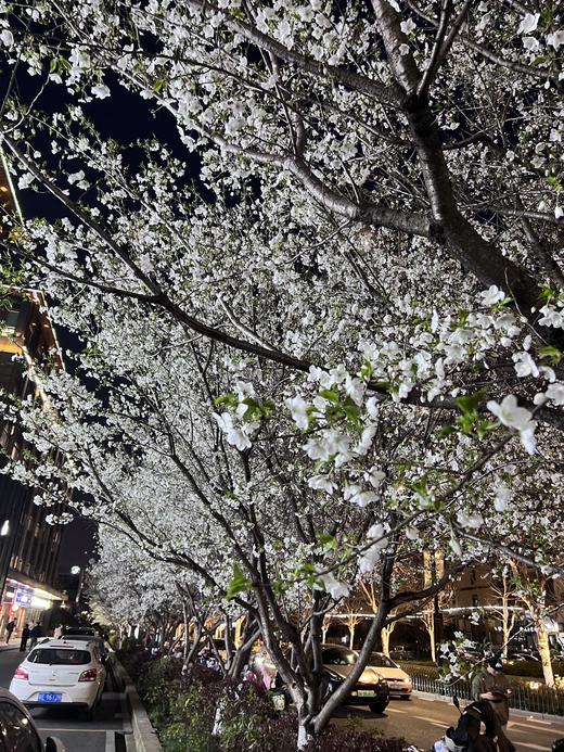 会员商品 商品图0