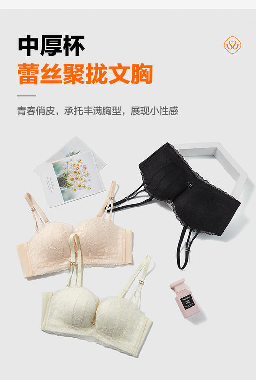 【满2件/99元】【B杯单件】【秀黛】依恋无钢圈中厚杯文胸L5110017B【门店同款】【如遇缺货自动退款，介意勿拍】 商品图3