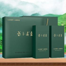 【2024年新茶】大岳骞林太极峰毫绿茶200g礼盒装