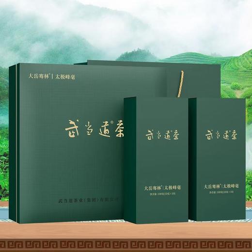 【2024年新茶】大岳骞林太极峰毫绿茶200g礼盒装 商品图0