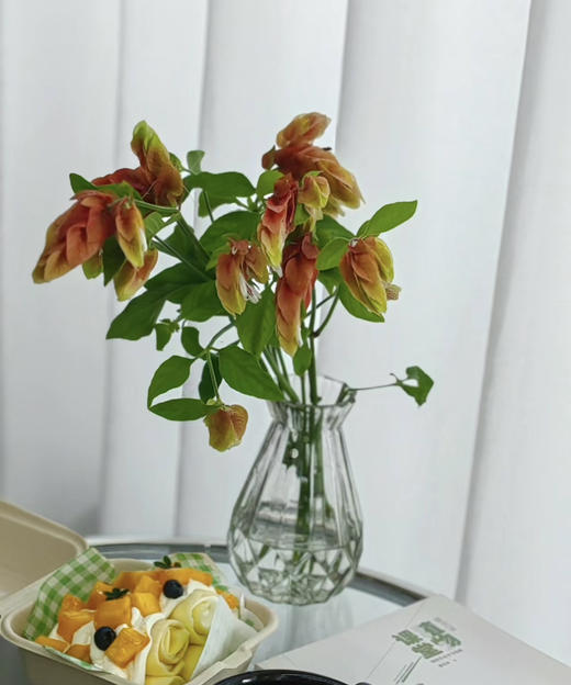 【爱的苦恼】虾衣花 若干枝/扎 商品图3