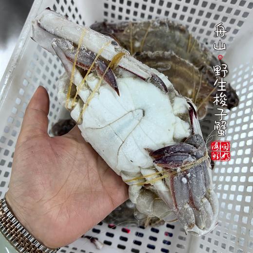 【闹妈】舟山液氮冷冻梭子蟹公蟹白蟹 各种规格 商品图1