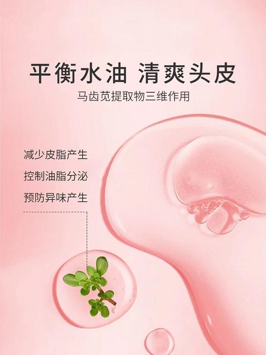 亲初青少年轻盈洗发液 350ml 商品图2