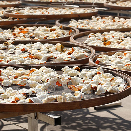 甘子田 十年年新会陈皮250克精品装 商品图9