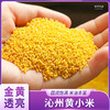 沁州黄小米 商品缩略图0