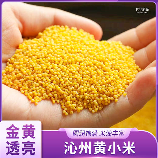 沁州黄小米 商品图0