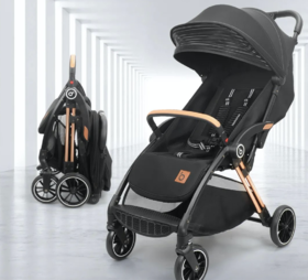 【童车租赁】押金专用