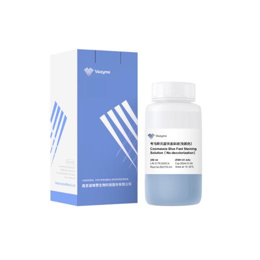 Coomassie Blue Fast Staining Solution (No-decolorization) 商品图0