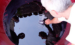 azienda_agricola_frank_cornelissen_1