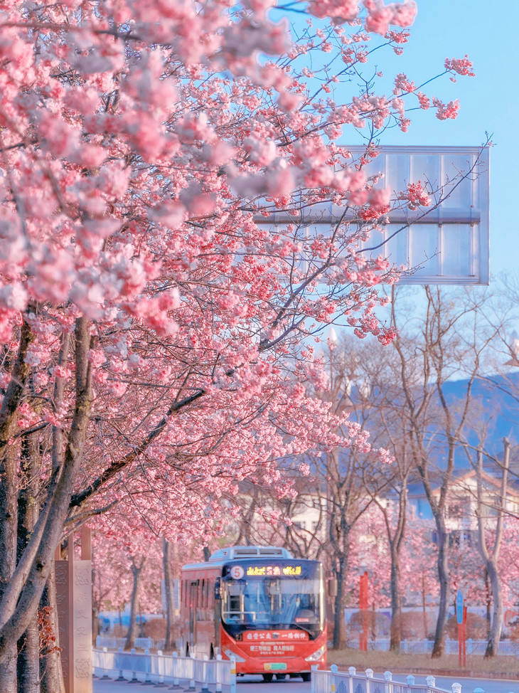 b664522f2d09f1582fd7db06ac02d36_副本.jpg