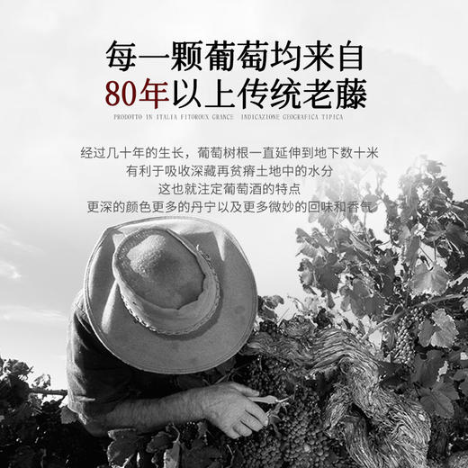 【80年老藤之作】菲特瓦·格兰斯干红葡萄酒  意大利普利亚产区 18%vol 商品图5