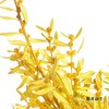 永生花材 | 黄杨牡丹黄色 商品缩略图2