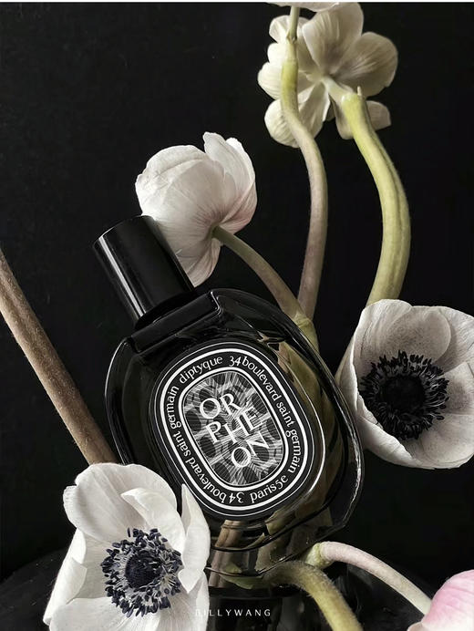 Diptyque蒂普提克奥菲恩浓香75ml 商品图4