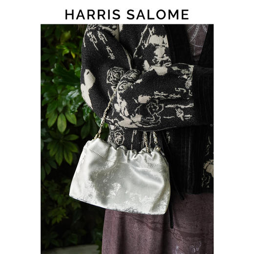 Harris Salome牛皮金链云朵包 商品图5