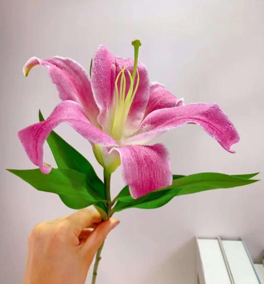 周六配送！香水罗宾百合，单头，一束10支 商品图2