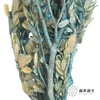 永生花材 | 黄杨牡丹蓝色 商品缩略图4