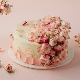 玫瑰瀑布，可选1.5/2.5磅-冰淇淋口味仅限深圳广州佛山可选