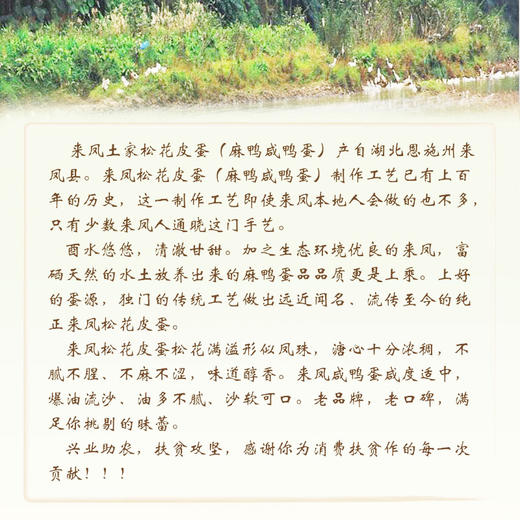 BQT恩施西露皮蛋30枚/盒 商品图5