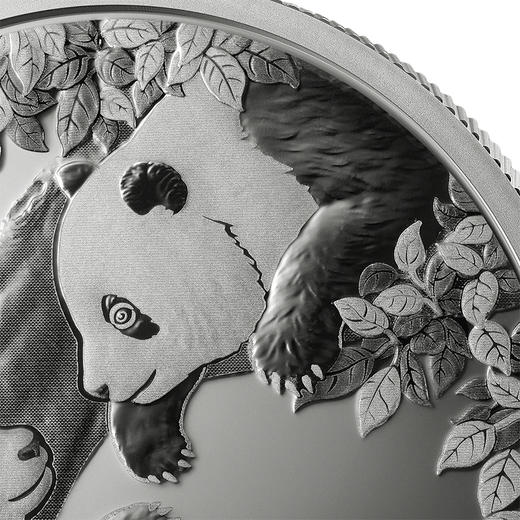 2023熊猫30克银币 商品图3