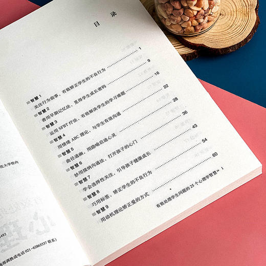 有效处理学生问题的25个心理学智慧 大夏书系 教师读物教育心理 李进成 商品图7