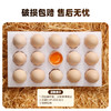 【好念头】始祖黑鸡可生食鸡蛋30枚礼盒 商品缩略图4