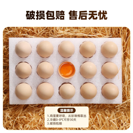 【好念头】始祖黑鸡可生食鸡蛋50枚 商品图4