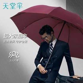 天堂伞 33212E碰，商务三折10骨晴雨伞