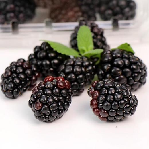 怡颗莓黑莓125g/盒（进口莓果） 商品图0