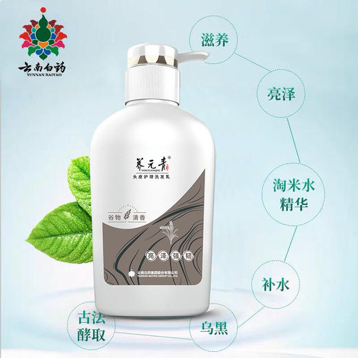 【官方正品】云南白药养元青生姜洗发露强根健发500ml普洱蓬松洗发水大瓶装植萃洗发水大瓶装无硅油 商品图13