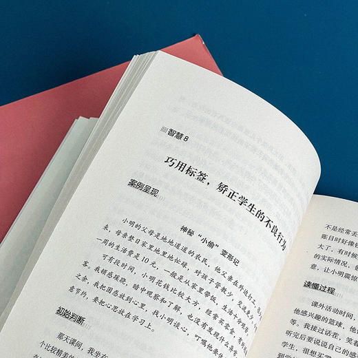有效处理学生问题的25个心理学智慧 大夏书系 教师读物教育心理 李进成 商品图9